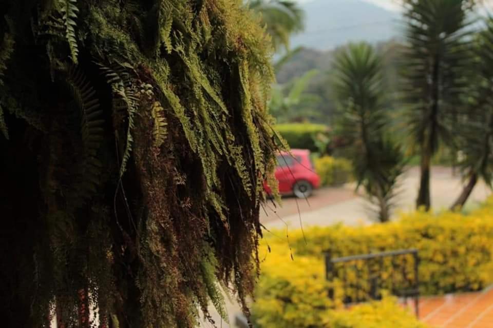 Finca Hotel El Diamante Calarcá Kültér fotó