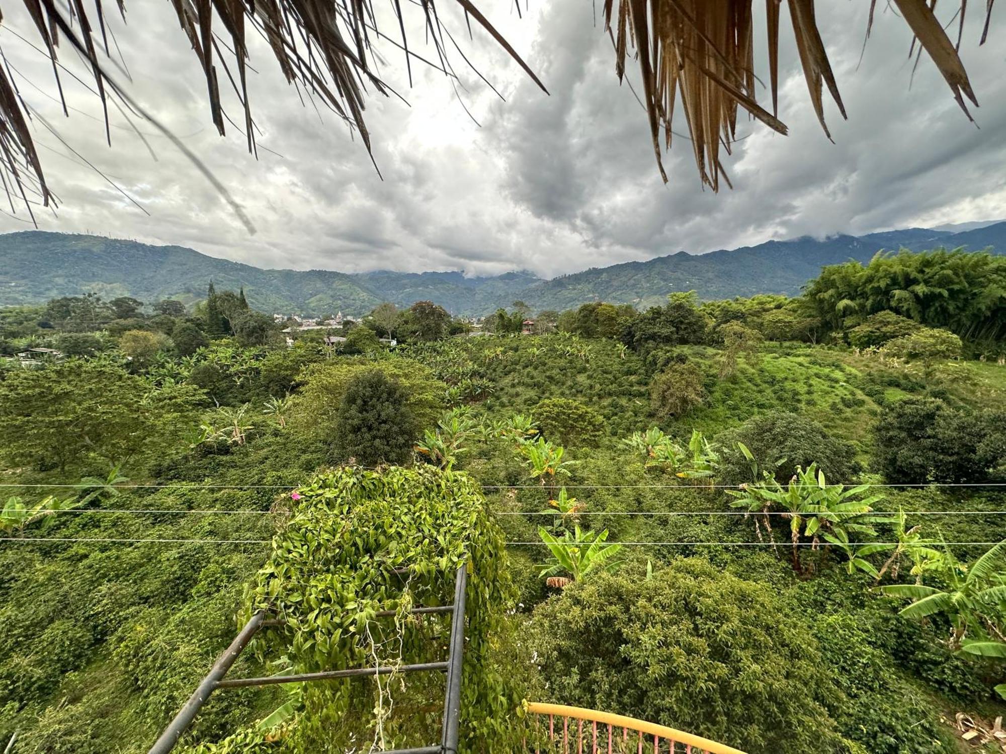 Finca Hotel El Diamante Calarcá Kültér fotó